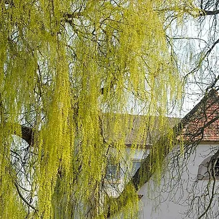 Hotel Restaurant Zeiskamer Muehle Zeiskam
