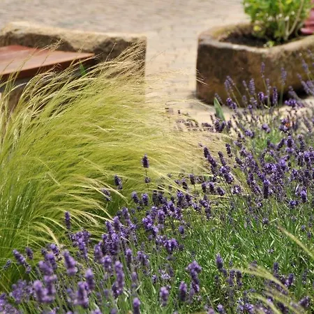 Hotel Restaurant Zeiskamer Muehle 3*