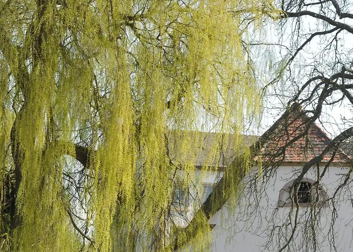 Restaurant Zeiskamer Muehle Hotel 3*