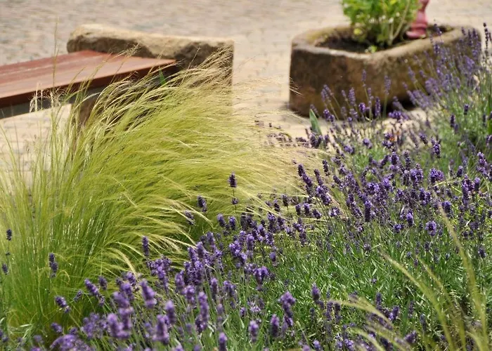 Restaurant Zeiskamer Muehle 3*